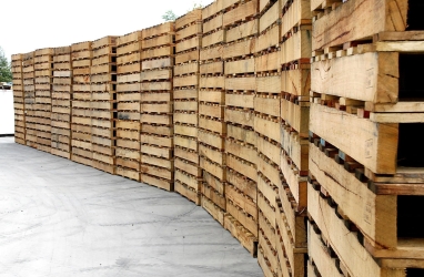 Pallet Gỗ Thành Đạt: Chất lượng vượt trội, giá rẻ TPHCM