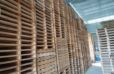 Công ty chúng tôi chuyên cung cấp Pallet Gỗ chất lượng cao!