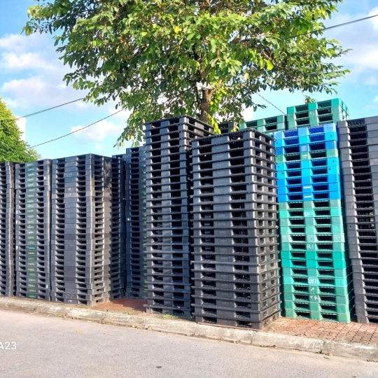 Pallet nhựa giá rẻ tại Bình Dương